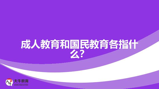 成人教育和國民教育各指什么？