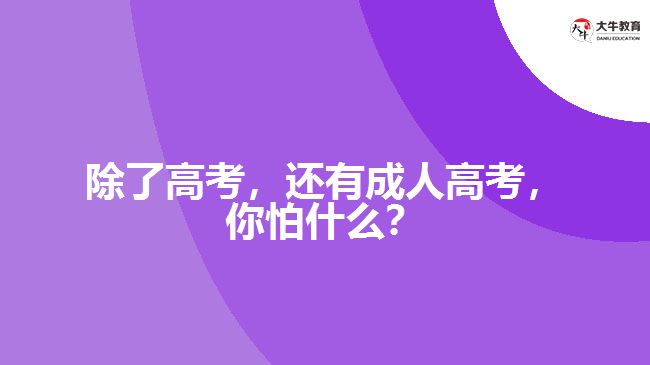 除了高考，還有成人高考，你怕什么？