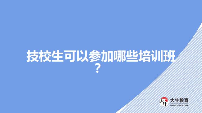 技校生可以參加哪些培訓(xùn)班？