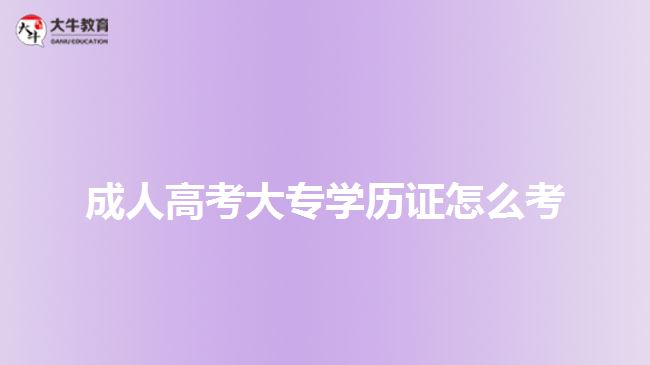 成人高考大專學(xué)歷證怎么考