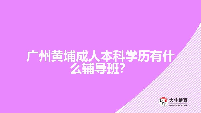 廣州黃埔成人本科學(xué)歷有什么輔導(dǎo)班？