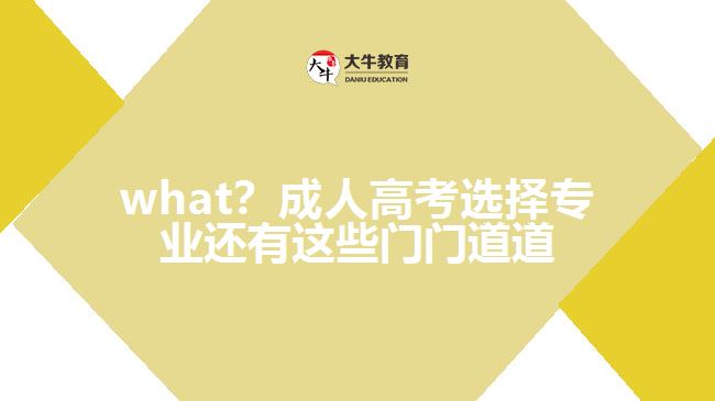 what？成人高考選擇專業(yè)還有這些門門道道