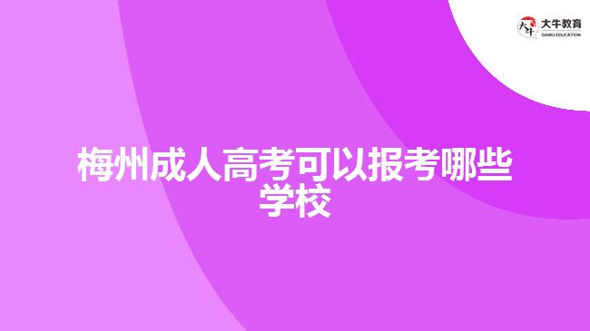 梅州成人高考可以報考學校 