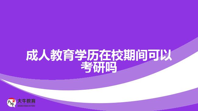 成人教育學(xué)歷在校期間可以考研嗎