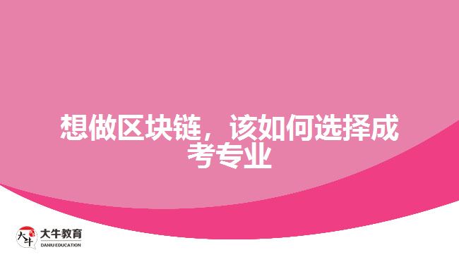 想做區(qū)塊鏈，該如何選擇成考專業(yè)