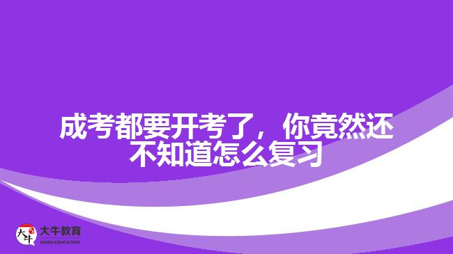 成考都要開考了，你竟然還不知道怎么復(fù)習(xí)