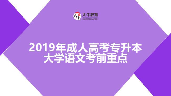 2019年成人高考專升本大學(xué)語文考前重點