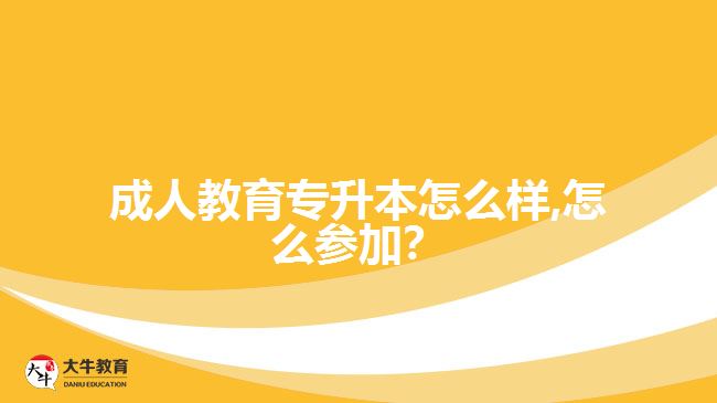 成人教育專升本怎么樣,怎么參加？