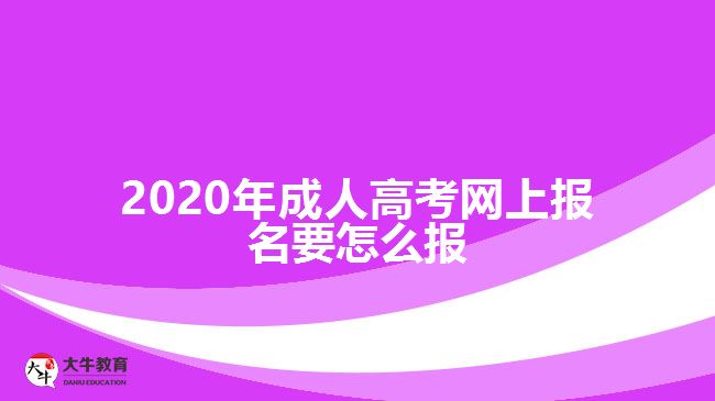 ，2020年成人高考網(wǎng)上報(bào)名要怎么報(bào)