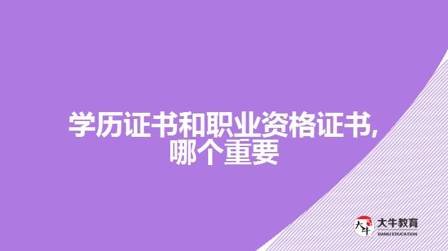 學(xué)歷證書和職業(yè)資格證書,哪個(gè)重要