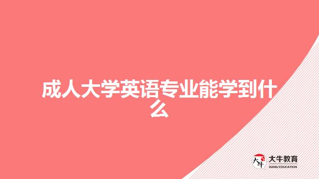 成人大學(xué)英語專業(yè)能學(xué)到什么