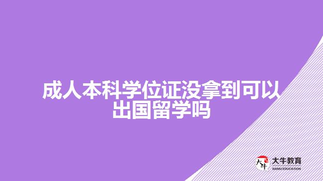 成人本科學(xué)位證沒拿到可以出國留學(xué)嗎