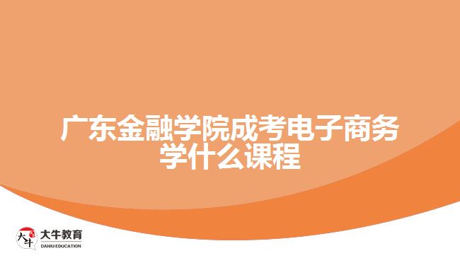 廣東金融學(xué)院成考電子商務(wù)學(xué)什么課程