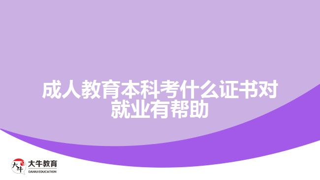 成人教育本科考什么證書對就業(yè)有幫助