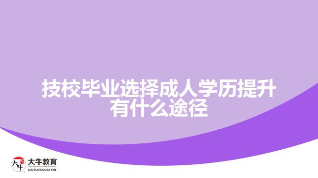 技校畢業(yè)選擇成人學(xué)歷提升有什么途徑