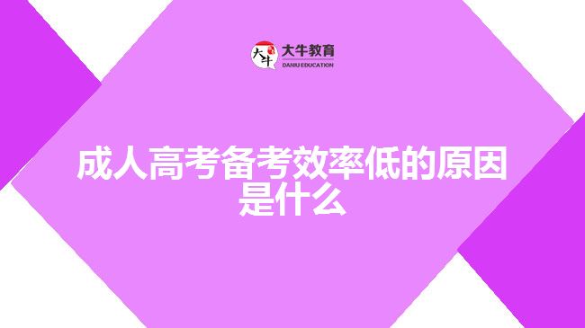 成人高考備考效率低的原因是什么