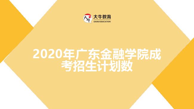 2020年廣東金融學(xué)院成考招生計(jì)劃數(shù)