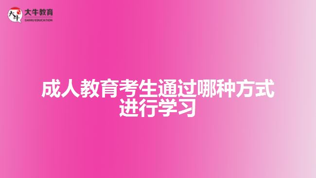 成人教育考生通過(guò)哪種方式進(jìn)行學(xué)習(xí)