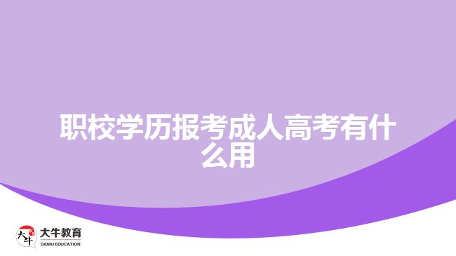 職校學(xué)歷報(bào)考成人高考有什么用