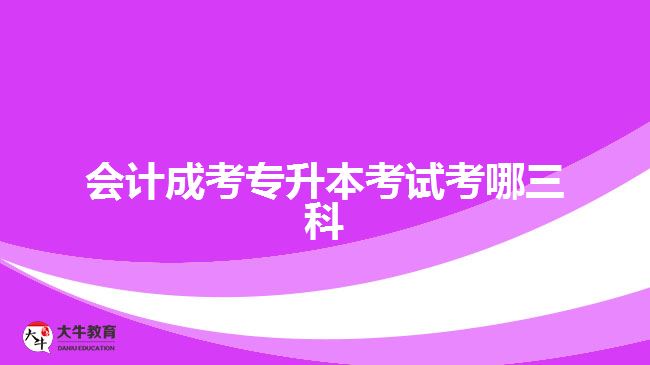 會計成考專升本考試考哪三科