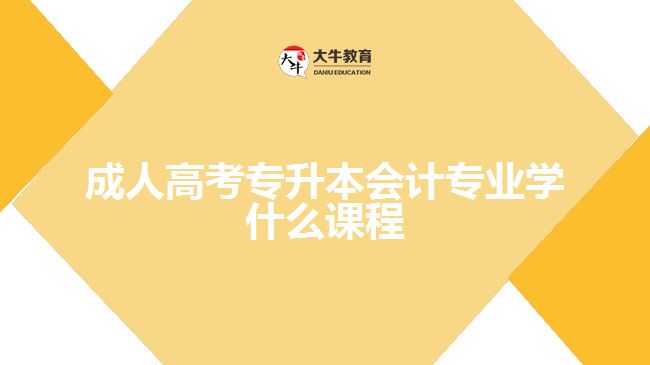 成人高考專升本會計專業(yè)學(xué)什么課程