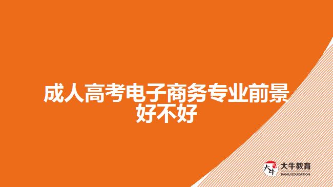 成人高考電子商務(wù)專業(yè)前景好不好