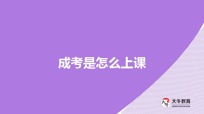 成考是怎么上課