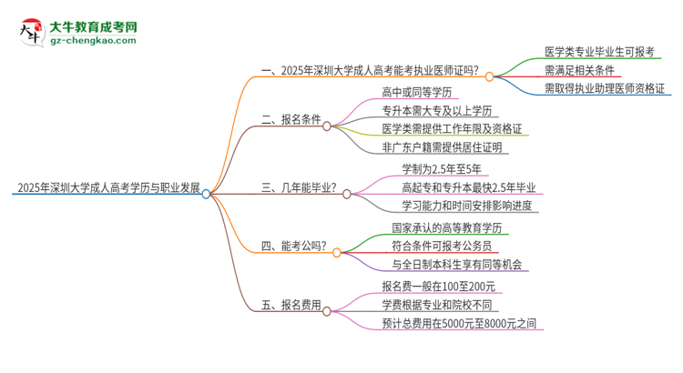 2025年深圳大學的成人高考學歷能報考執(zhí)業(yè)醫(yī)師證嗎？思維導圖