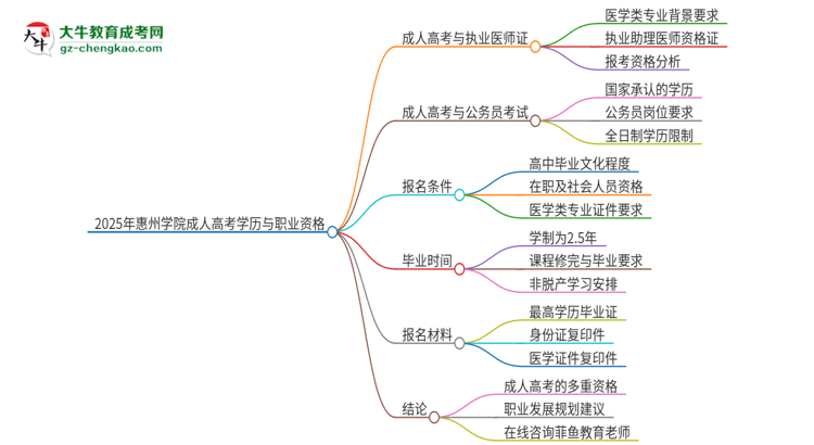 2025年惠州學(xué)院的成人高考學(xué)歷能報(bào)考執(zhí)業(yè)醫(yī)師證嗎？思維導(dǎo)圖