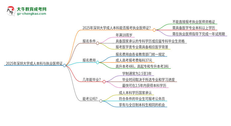 2025年深圳大學(xué)成人本科可否報(bào)考執(zhí)業(yè)醫(yī)師資格證？思維導(dǎo)圖