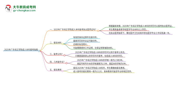 2025年廣東培正學(xué)院成人本科可否報考執(zhí)業(yè)醫(yī)師資格證？思維導(dǎo)圖