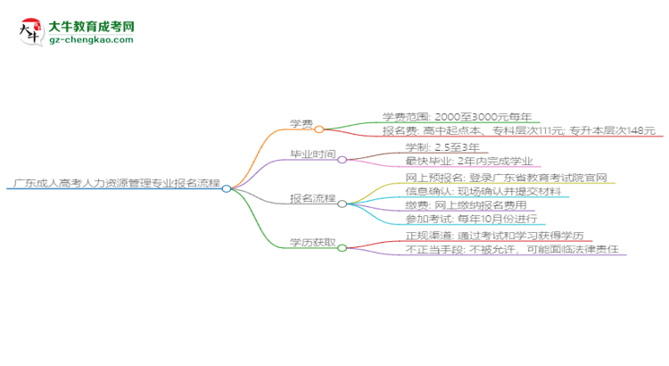 廣東成人高考人力資源管理專業(yè)2025年報名流程思維導(dǎo)圖