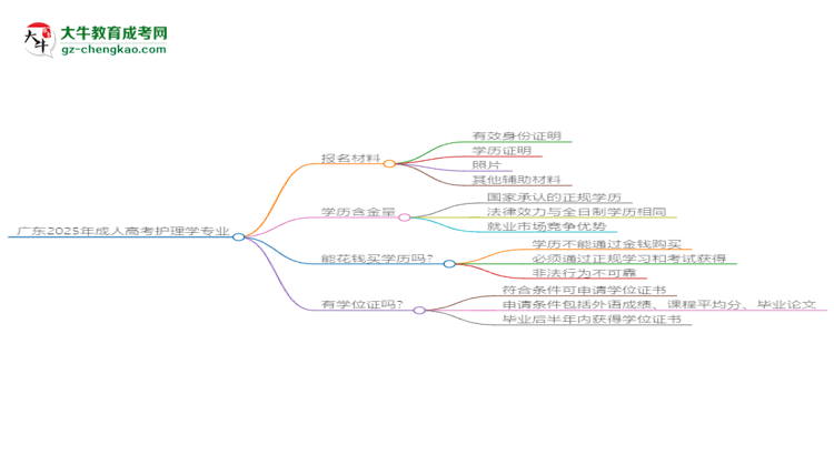 廣東2025年成人高考護理學專業(yè)學歷能考公嗎？思維導圖