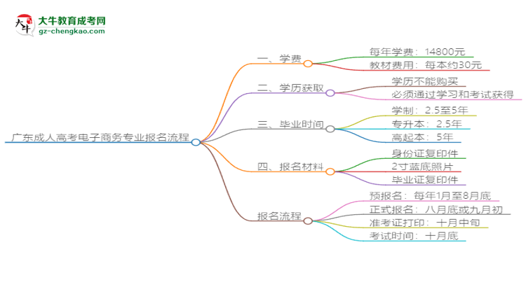 廣東成人高考電子商務(wù)專業(yè)2025年報(bào)名流程思維導(dǎo)圖