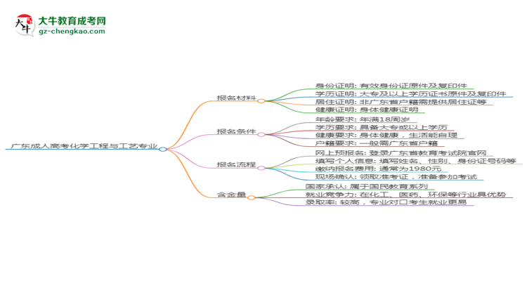 廣東2025年成人高考化學(xué)工程與工藝專業(yè)學(xué)歷能考公嗎？思維導(dǎo)圖