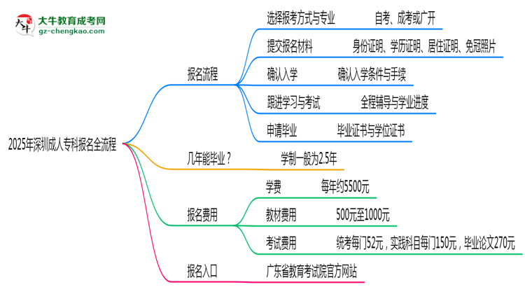 3分鐘讀懂：2025深圳成人?？票究茍竺鞒趟季S導(dǎo)圖