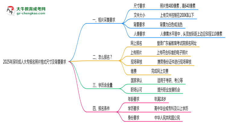 2025年深圳成人大專報名照片格式尺寸及背景要求思維導(dǎo)圖