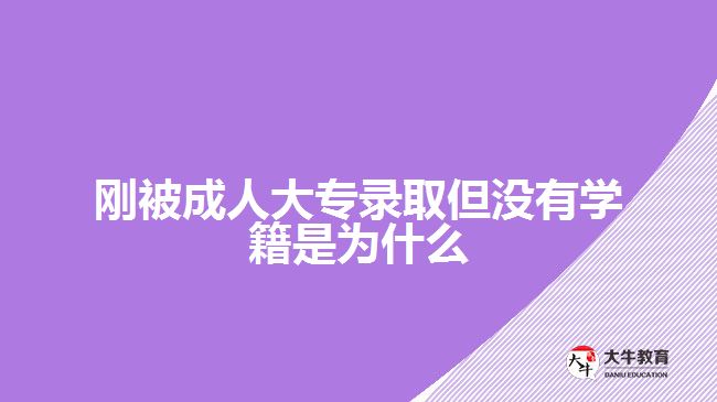 剛被成人大專錄取但沒有學籍是為什么