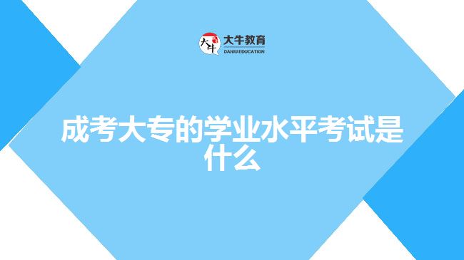 成考大專的學(xué)業(yè)水平考試是什么