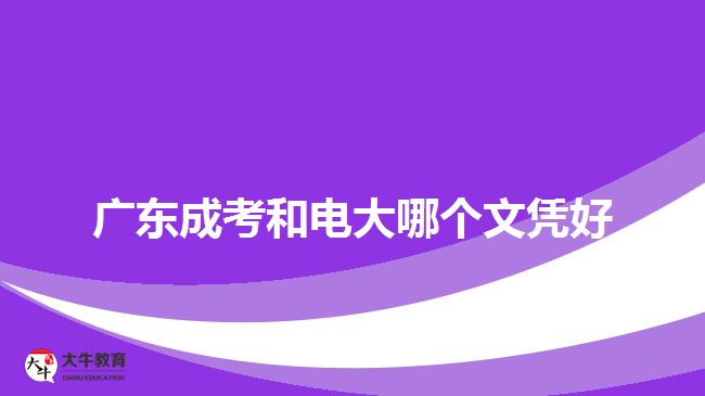 廣東成考和電大哪個文憑好