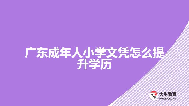 廣東成年人小學(xué)文憑怎么提升學(xué)歷