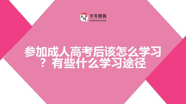 參加成人高考后該怎么學(xué)習(xí)？有些什么學(xué)習(xí)途徑