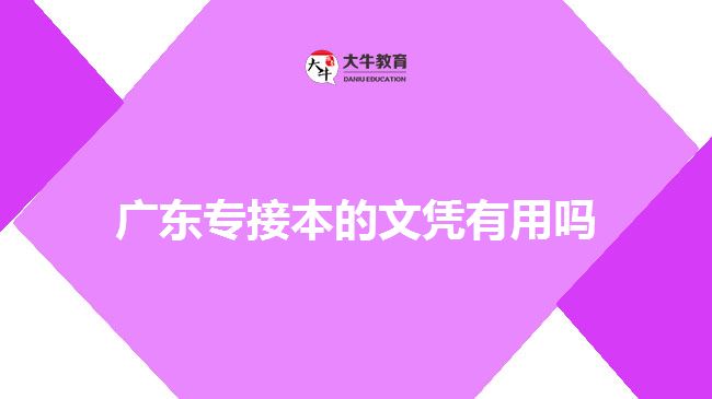 廣東專接本的文憑有用嗎