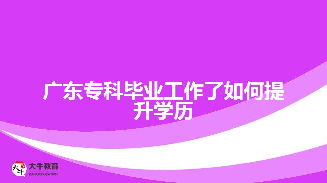 廣東?？飘厴I(yè)工作了如何提升學(xué)歷