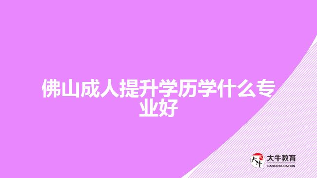 佛山成人提升學歷學什么專業(yè)好