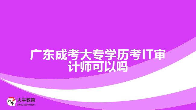 廣東成考大專學(xué)歷考IT審計師可以嗎