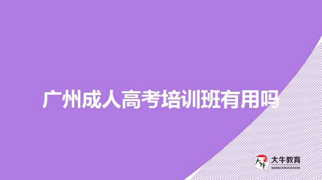 廣州成人高考培訓(xùn)班有用嗎