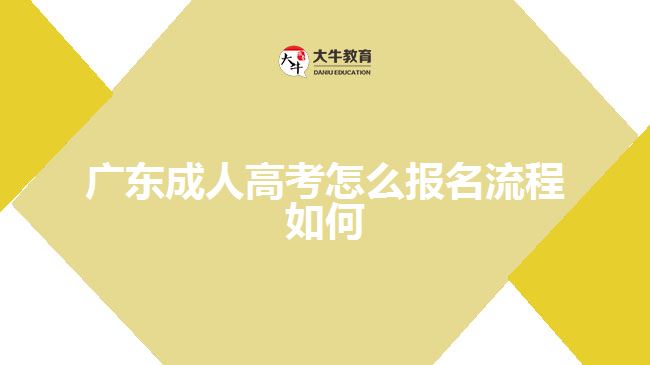 廣東成人高考怎么報(bào)名流程如何