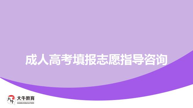 成人高考填報志愿指導(dǎo)咨詢