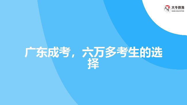 廣東成考，六萬多考生的選擇